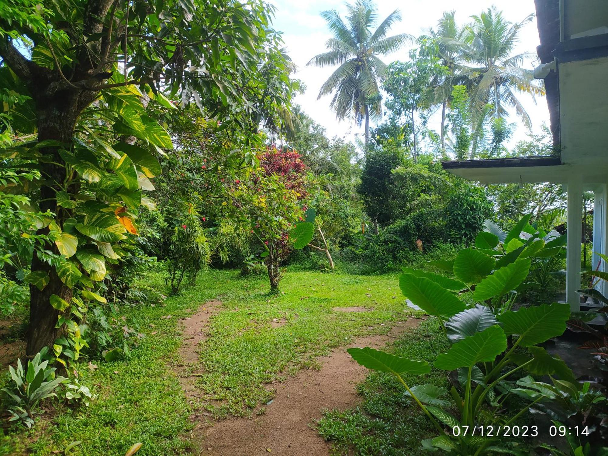 Digital Nomads Hotel Weligama Exterior foto